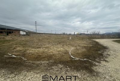 Teren Construcții intravilan de 1000 mp, în Râșnov - 4