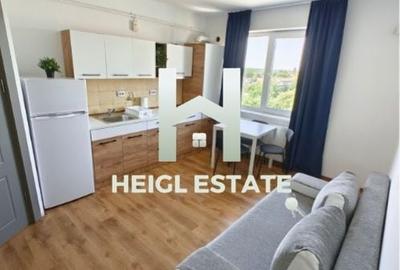 Apartament cu 2 camere semidecomandat, mobilat în Iosefin - 1