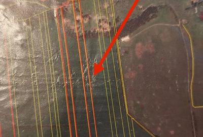 Teren de 15003 mp, în Saca - 2