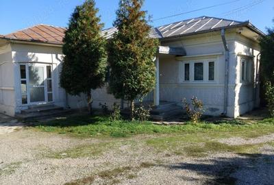 Casă cu 6 camere cu Teren 5000 Mp în Miroslăvești - 6