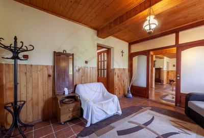 Casa rustica P+1 in zona de deal Bogati, AG - 7