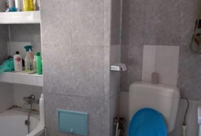 Apartament cu 3 camere decomandat, mobilat în Brotăcei - 4