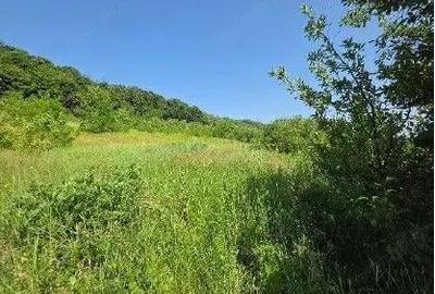 Teren de 2300 mp, în Duda - 10