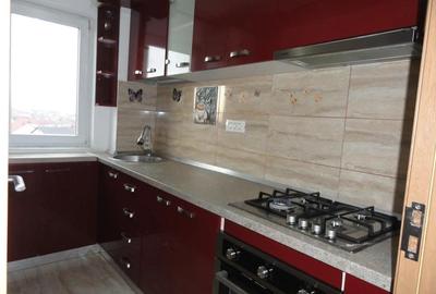 Apartament 1 camera la parter intr-un bloc de apartamente in Vlaicu, renovat, mobilat - 7