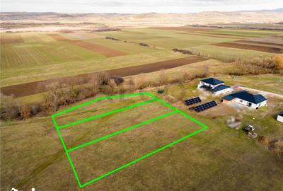 Teren de 950 mp, în Saca - 3