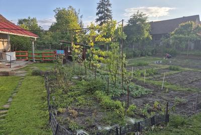 Casa de vanzarea - 5