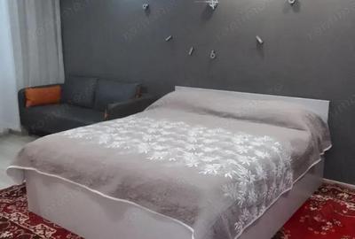 Apartament cu o camera in zona Sagului - 2