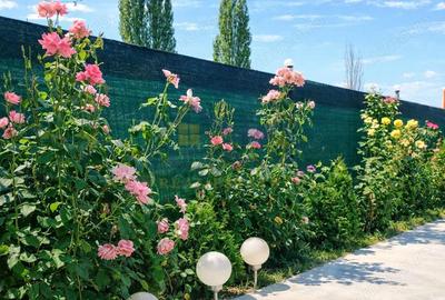 Casă cu 4 camere cu Canalizare în Puchenii Mari - 6