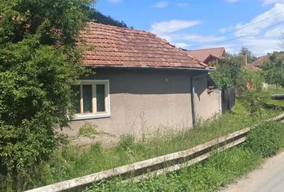 Casa de vanzare Stancesti(Dobra) Casa de vanzare Stancesti(Dobra) - 1