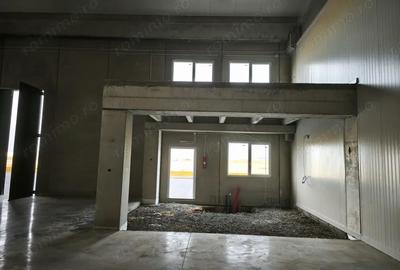 Spațiu comercial, de 523 mp, în Sânandrei - 2