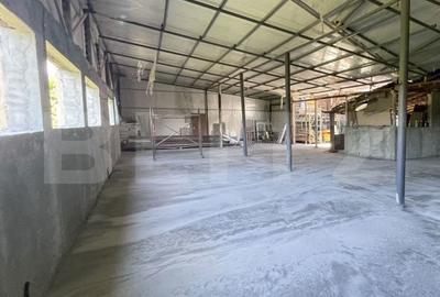 Spațiu comercial, de 223 mp, în Bariera Vâlcii