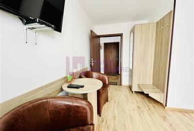 Afacere la cheie | Vila de 3 stele | Paltinis | amenajata complet - 15