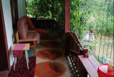 Casă cu 3 camere cu Teren 10000 Mp în Lumnic - 6