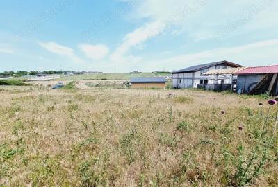 Teren pentru gospodaria ta 873mp in Sat Costi spre Lacul Vanatori - 1