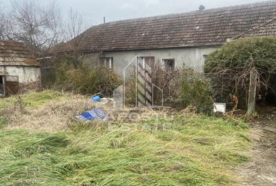 Casa individuala in Ghiroda cu 1509 mp teren