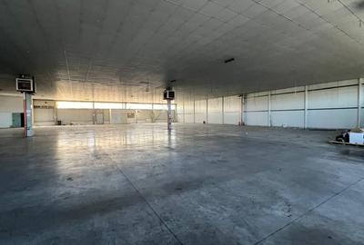 Hala 1400 pentru depozitare sau productie Hala 1400 pentru depozitare sau productie - 4