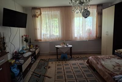 Casa renovata 4 camere in Nadlac - 9