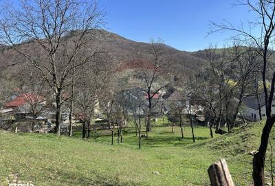 Spațiu comercial, în Firiza - 10
