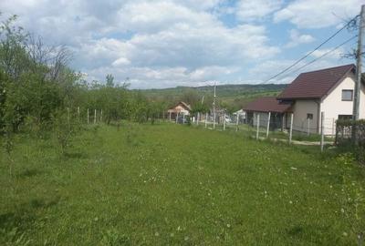 Teren de 1700 mp, în Ogretin - 8