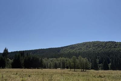 SUPER OCAZIE  - Teren intravilan, COMANDAU - 7