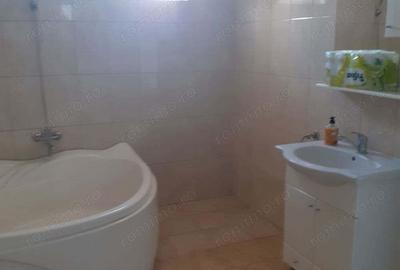 Casa P+E de vanzare in Ineu, jude?ul Arad - 9