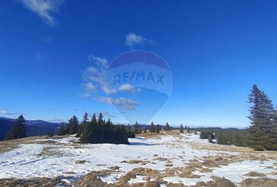 Teren  extravilan - 7