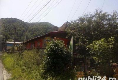 Casă cu 4 camere cu Teren 340 Mp în Castelul Peleș - 6