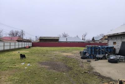 Casă în Maxenu - 6