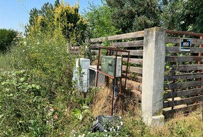 Ciolpani -Ilfov - teren 4000 mp - 10