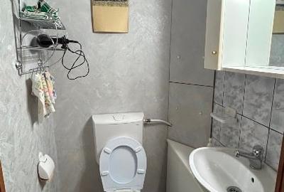 Apartament de inchiriat, 3 camere decomandate,  centru, vedere spre  sud - 5