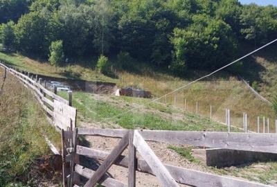 Teren cu autorizatie de constructie, 1130 mp in Muntele Rece - 6
