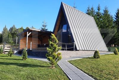 Oportunitate-cabana de vanzare, 4 camere, 75 mp, 34,5 ari teren, zona Colibita - 3