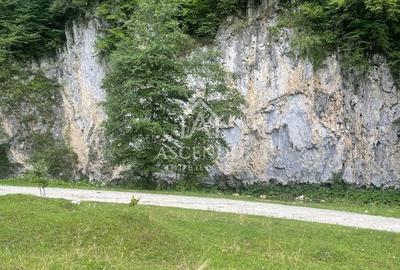 Teren de 4500 mp, în Dâmbovicioara - 14