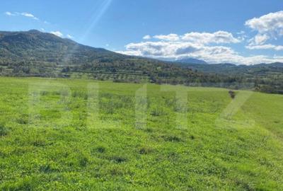 Teren de 2700 mp, în Decebal