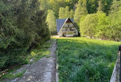 Casa cu teren 2000mp zona Moroieni, pentru pensiune, invenstitie - 3