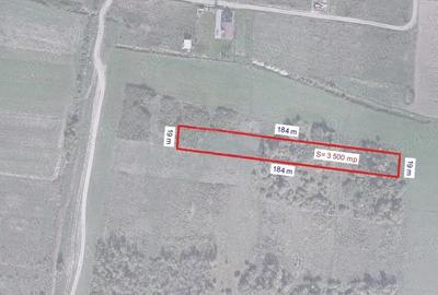 Vanzare-teren intravilan- 3500 MP, Sanmartin, Bihor. - 1