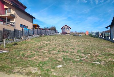 Vand teren in Chinteni - 4