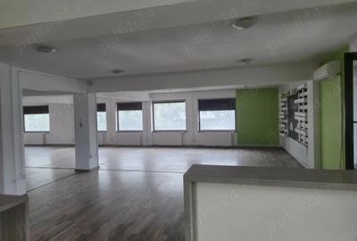 Spa?iu comercial birouri de inchiriat 200 mp, Str. Vasile Lupu 55 Spa?iu comercial birouri de inchiriat 200 mp, Str. Vasile Lupu 55 - 4