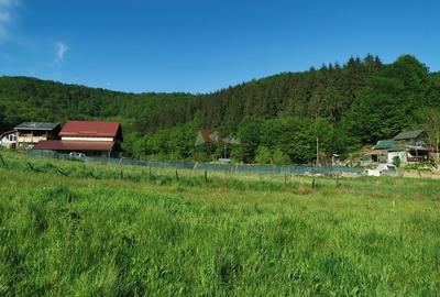 Teren la vanzare in Dej,cartier Viile Dejului - 11