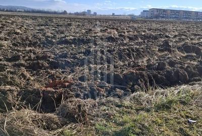 TEREN INTRAVILAN PENTRU CONSTRUCTIE BLOCURI-20000 MP, ZONA CALEA SURII MICI - 5