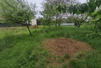 Casă cu 4 camere cu Teren 1767 Mp în Rădăuți - 7