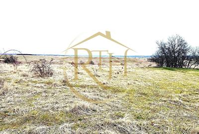 Teren agricol extravilan de 25000 mp, în Secaș - 14