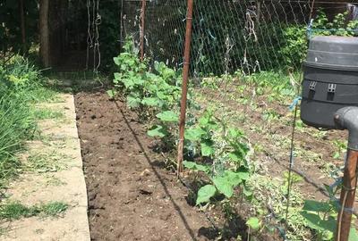 Casa de vanzare in Rosiori - 6