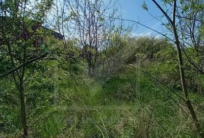 Teren 500mp strada Frunzisului - 5