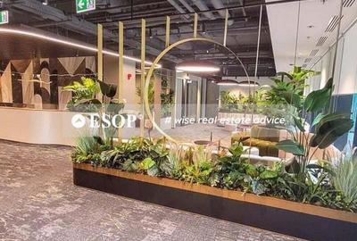 ONE Cotroceni Park faza 2, Cotroceni, 1204 - 7206 mp 0% comision! - 3