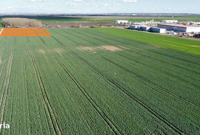 Spațiu comercial, în Sânandrei - 2