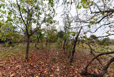 Casă individuală cu 3 camere cu Canalizare în Urseni - 20