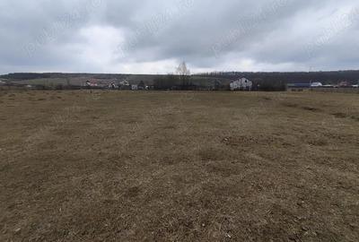 Teren de 1100 mp, în Mogoșești - 1