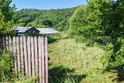 Teren intravilan 4.183 mp Cobia, sat Mislea ie?ire - 5