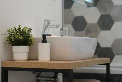 ISHO, Vedere panoramica, in vecinatatea Universitatii de Medicina - 5